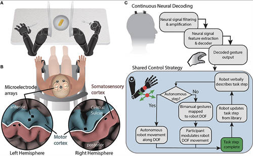 约翰霍普金斯大学成功测试脑机接口：可操控机械臂使用刀叉，并喂食瘫痪者