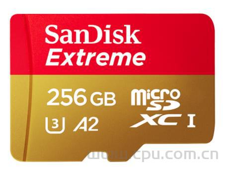 闪迪（SanDisk）TF、SD存储卡怎么选？各型号读取 写入速度区别