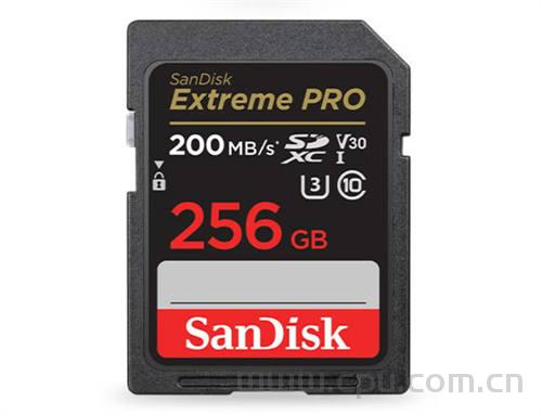 闪迪（SanDisk）TF、SD存储卡怎么选？至尊高速版 至尊极速版 至尊极速版 设备专用版 设备高级版读取 写入速度 以及参数区别