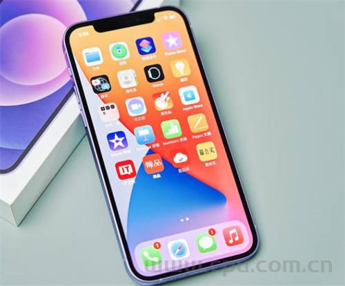 ANFR指控iPhone 12辐射超标 苹果回应表示相关机型通过了多个国际机构的认证 完全符合国际辐射标准